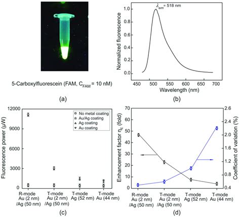 carboxyfluorescein|5 carboxyfluorescein excitation emission.